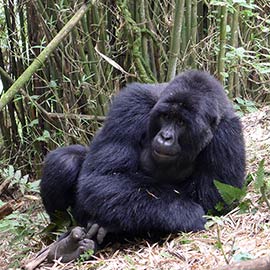 Rwanda