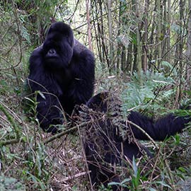 Rwanda
