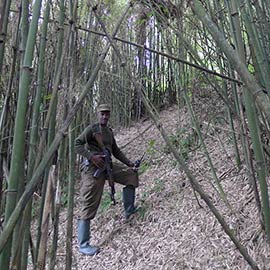 Rwanda