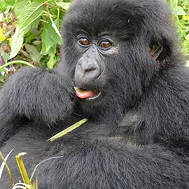 Rwanda